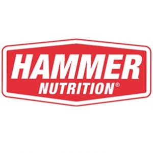 Hammer logo