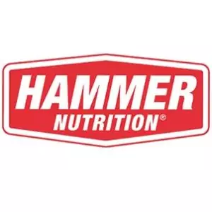 Hammer logo